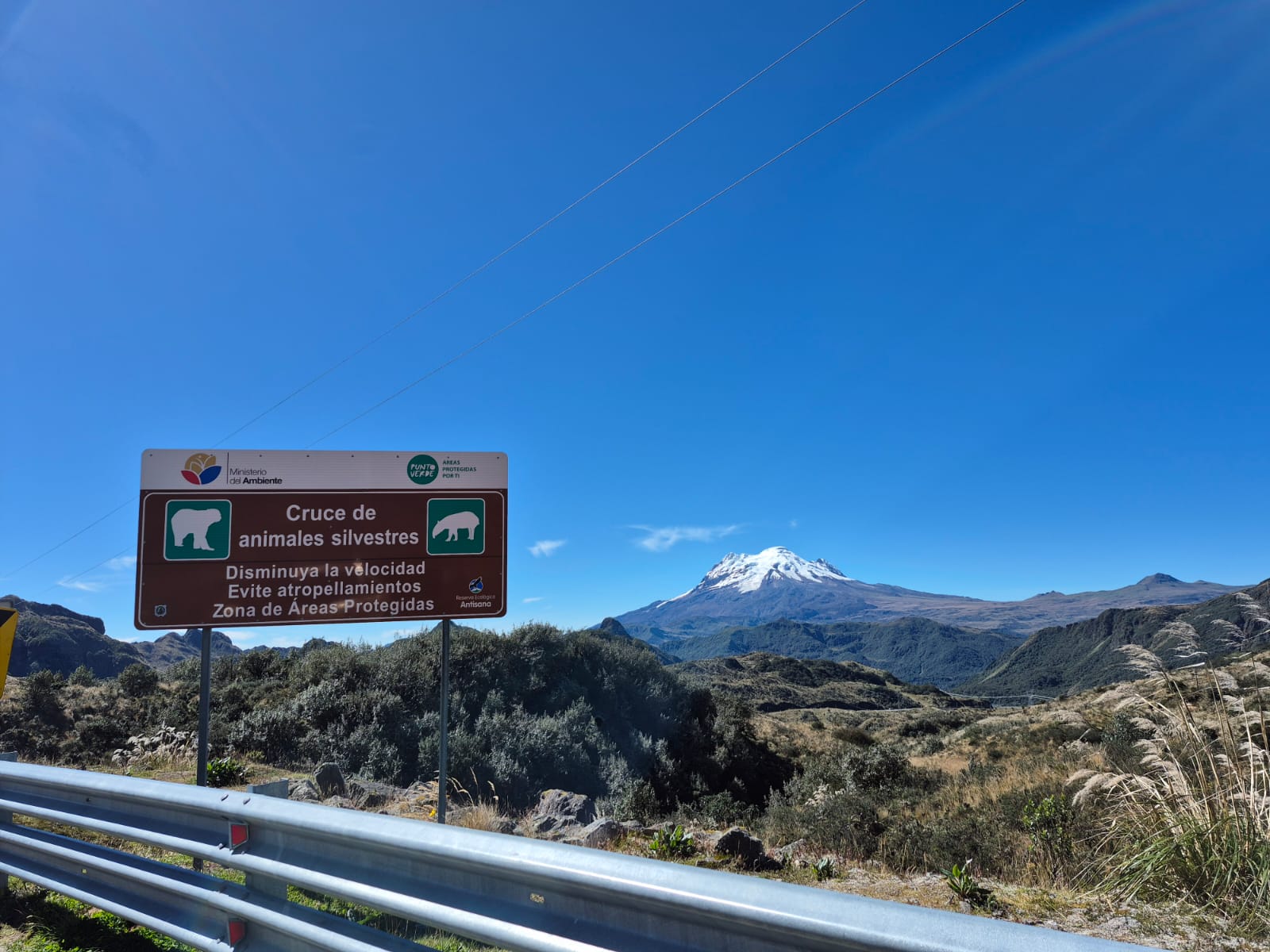 Wildlife crossing sign with Chimborazo volcano — Zona Protegida
