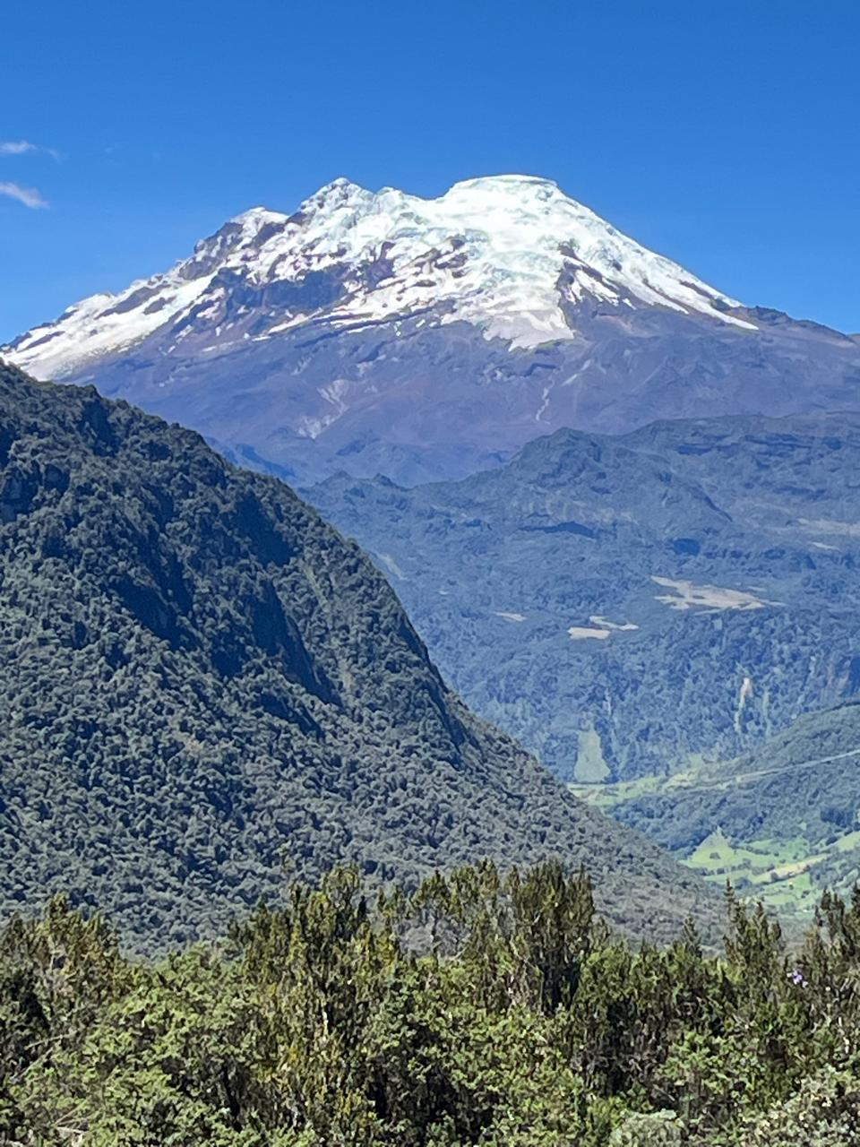 Snow-capped Chimborazo volcano above the cloud forest