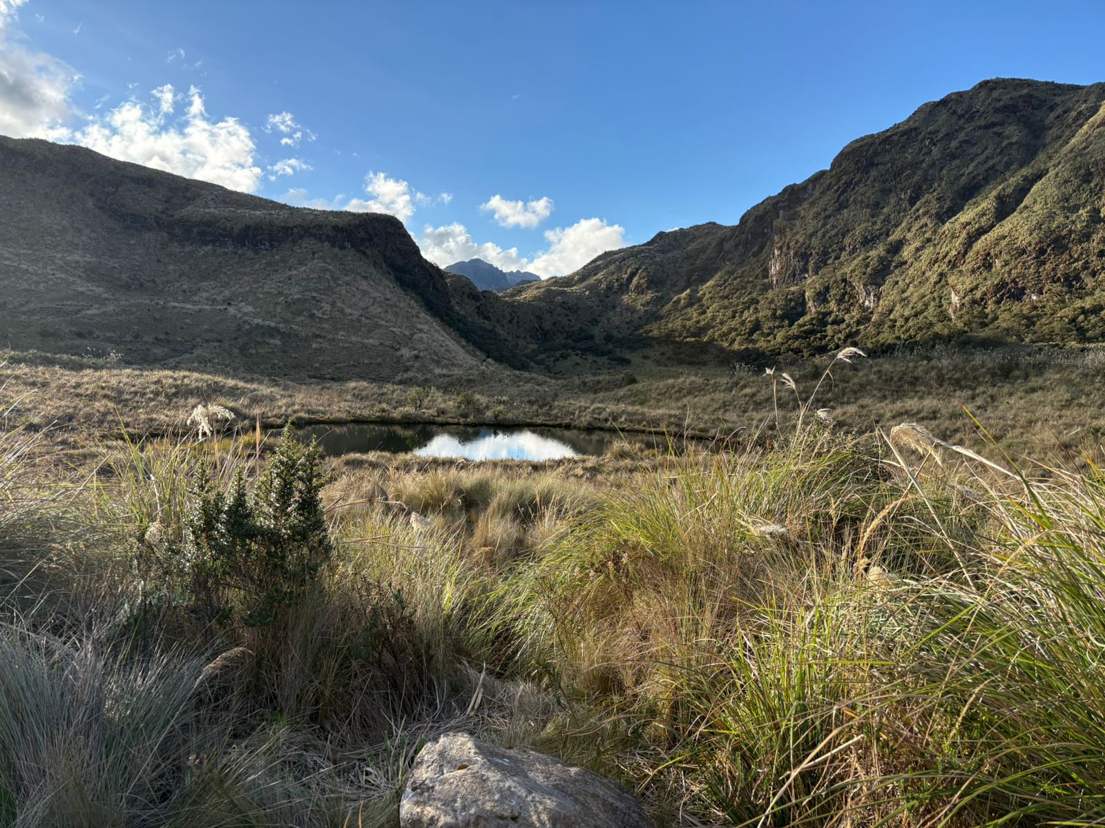 Highland lagoon in the Andean mountains of Ecuador